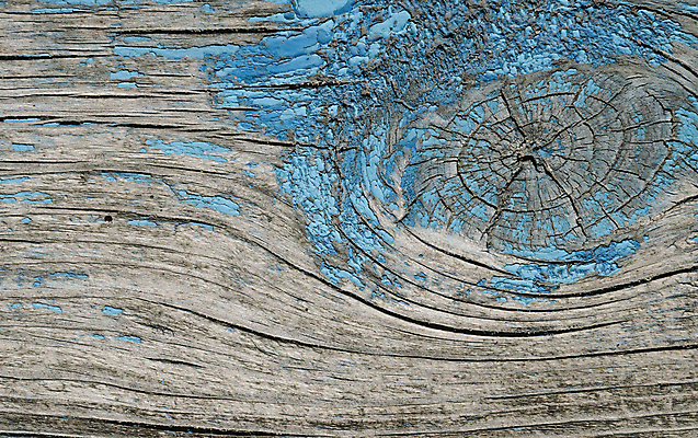 포토 JPG 해외이미지 벽 백그라운드 패턴 자연 표면 추상 사람없음 목재 파란색 페인트 거친 널 질감 그런지 수목 옛날 해외202004 해외포토 나무 컬러 무늬 재료 생태계 파일형식 이미지허브