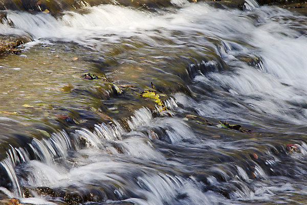 포토 JPG 해외이미지 백그라운드 이동 잎 모션 사람없음 물 가을 개울 속도 해외202004 해외포토 자연요소 식물 계절 컨셉 강 파일형식 이미지허브