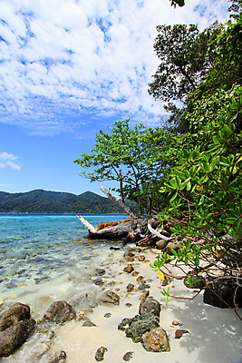 포토 JPG 해외이미지 주간 나무 구름 모래 파도 바다 섬 잎 태국 하늘 휴가 산 파노라마 그림자 사람없음 목재 초록색 물 여름 파란색 컬러풀 햇빛 반사 활발 바위 신선 그늘 질감 스카이라인 마디 강렬 깊이 수목 수평선 해외202004 해외포토 자연요소 식물 계절 아시아 컬러 컨셉 재료 촬영기법 태양 돌_바위 파일형식 이미지허브