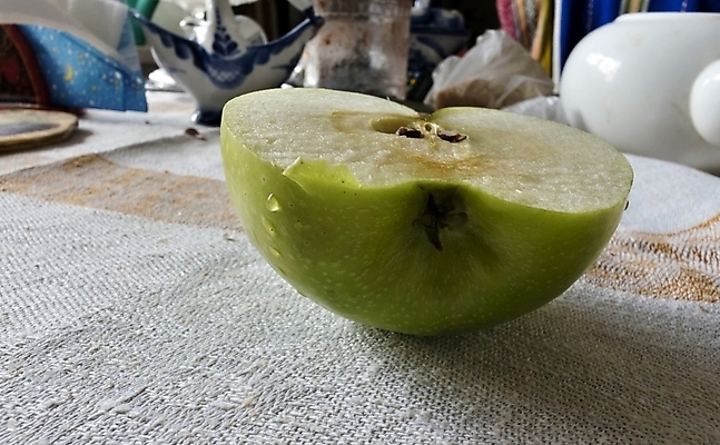 포토 JPG 해외이미지 음식 조각 백그라운드 다이어트 과일 자연 표면 건강 사람없음 가로 초록색 신선 원형 맛 사과 자르기 먹기 오브젝트 유기농 서빙 내추럴 숙성 채식주의자 비건 해외202004 해외포토 도형 웰빙 컬러 컨셉 모션 생태계 채식 파일형식 이미지허브