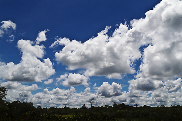 포토 JPG 해외이미지 구름 계절 백그라운드 패턴 밭 자연 하늘 날씨 풍경 사람없음 야외 초록색 여름 파란색 빛 햇빛 태양 우주 환경 맑음 봄 자유 흰색 분위기 장면 천국 솜털 내추럴 수평선 해외202004 해외포토 자연요소 컬러 컨셉 무늬 농업 생태계 파일형식 이미지허브