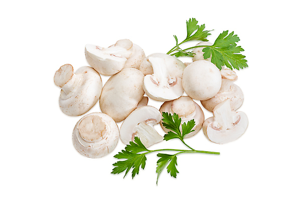 포토 JPG 해외이미지 음식 농업 파슬리 요리 사람없음 주방 버섯 나뭇가지 날것 고립 생식 해외202004 해외포토 나무 산업 채소 파일형식 이미지허브