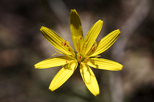 포토 JPG 해외이미지 식물 구름 계절 꽃 꽃무늬 밭 자연 하늘 풍경 잔디 사람없음 야외 초록색 여름 파란색 햇빛 태양 농장 노란색 정원 맑음 봄 벚꽃 흰색 시골 신선 땅 허브 데이지 신분 장면 내추럴 캐모마일 평야 수평선 해외202004 해외포토 자연요소 컬러 무늬 농업 날씨 생태계 파일형식 이미지허브