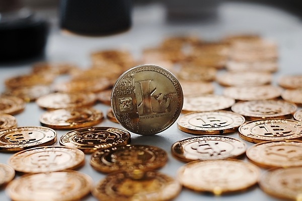 포토 JPG 해외이미지 돈 인터넷 비즈니스 안전 사람없음 금융 동전 저축 황금 발굴 무역 보안 결제 가치 해외202004 해외포토 산업 경제 재산 파일형식 이미지허브