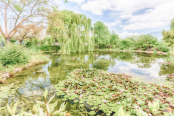 포토 JPG 해외이미지 나무 계절 공원 호수 여행 백그라운드 잎 자연 하늘 아침 산 풍경 사람없음 야외 초록색 물 여름 파란색 강 햇빛 반사 환경 침묵 봄 가을 시골 연못 소프트포커스 숲 보케 장면 전국 해외202004 해외포토 주간 자연요소 식물 공공시설 컬러 촬영기법 태양 소리 생태계 파일형식 이미지허브