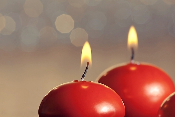 포토 JPG 해외이미지 나무 계절 행복 별 백그라운드 크리스마스 겨울 자연 휴가 프레임 이벤트 취미 사람없음 목재 장식 빨간색 갈색 축제 기쁨 시골 인사 황금 널 12월 연도 상품권 보케 상록수 잡동사니 수공예 내추럴 노엘 핸드메이드 해외202004 해외포토 자연요소 식물 기념일 감정 컬러 재료 예절 날짜 공예 생태계 파일형식 이미지허브