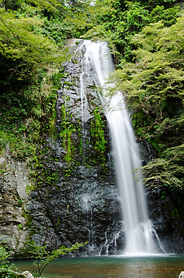 포토 JPG 해외이미지 나무 계절 공원 여행 이동 단풍 잎 휴가 휴식 풍경 사람없음 야외 물 햇빛 일본 폭포 흐름 가을 흰색 신선 숲 큼 10월 깊이 오사카 전국 해외202004 해외포토 자연요소 식물 공공시설 아시아 컬러 컨셉 자연 태양 날짜 크기 파일형식 이미지허브
