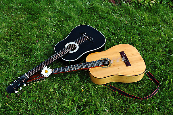 포토 JPG 해외이미지 꽃 줄 음악 노래 놀이 잔디 사람없음 목재 축제 소리 콘서트 벨트 기타 공구 갑판 서명 우표 조절 뮤지컬 캐모마일 합판 해외202004 해외포토 나무 식물 잡화 배_교통 재료 현악기 문화예술 공연 도구 허브 파일형식 이미지허브