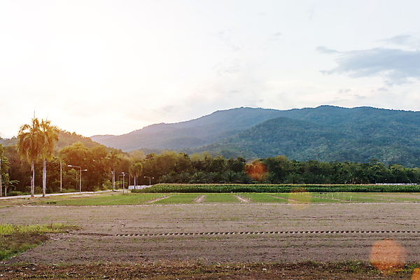 포토 JPG 해외이미지 식물 계절 백그라운드 밭 농업 자연 하늘 풍경 사람없음 야외 초록색 여름 빛 농작물 농장 농경지 마을 환경 수확 시골 땅 유기농 내추럴 밭일 생태학 세련 해외202004 해외포토 웰빙 교육 산업 컬러 생태계 파일형식 이미지허브