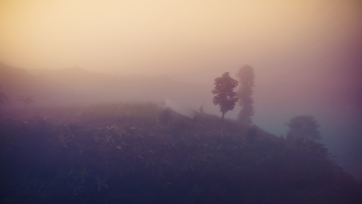 포토 JPG 해외이미지 나무 구름 공원 여행 백그라운드 잎 자연 하늘 아침 산 풍경 사람없음 야외 초록색 일출 환경 일몰 새벽 안개 숲 공상 내추럴 뿌연 전국 절정 해외202004 해외포토 주간 자연요소 식물 공공시설 컬러 날씨 노을 생태계 파일형식 이미지허브