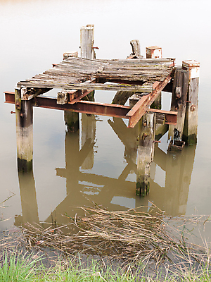 포토 JPG 해외이미지 나무 외관 계절 길 호수 바다 여행 백그라운드 건축양식 자연 하늘 휴가 휴식 갈대 풍경 사람없음 야외 목재 물 여름 강 태양 반사 평화 금속 항구 봄 흰색 만 숲 갑판 장면 포트 내추럴 해외202004 해외포토 자연요소 식물 건축 컬러 컨셉 배_교통 재료 교통시설 재질 생태계 파일형식 이미지허브