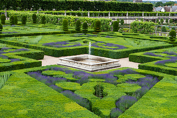 포토 JPG 해외이미지 식물 꽃 백그라운드 밭 재료 자연 사람없음 약 정원 계곡 보라색 궁전 프랑스 시골 허브 향수 향기 냄새 아로마 향 아로마테라피 라벤더 내추럴 프랑스어 프로방스 해외202004 해외포토 문자 유럽 컬러 고건축 농업 의학 화장품 생태계 테라피 파일형식 이미지허브