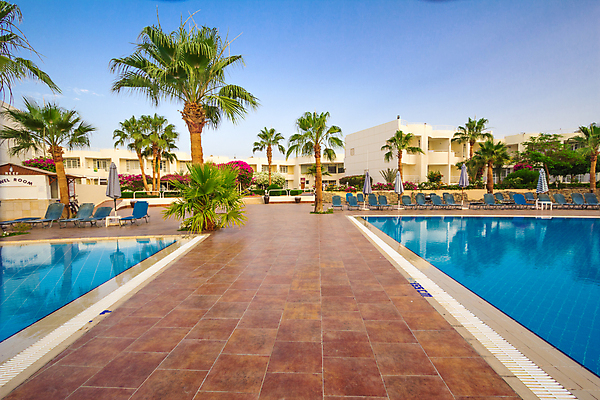 포토 JPG 해외이미지 나무 식물 구름 꽃 길 잎 우산 하늘 이집트 사람없음 물 태양 당구 해외202004 해외포토 자연요소 아프리카 구기 파일형식 이미지허브