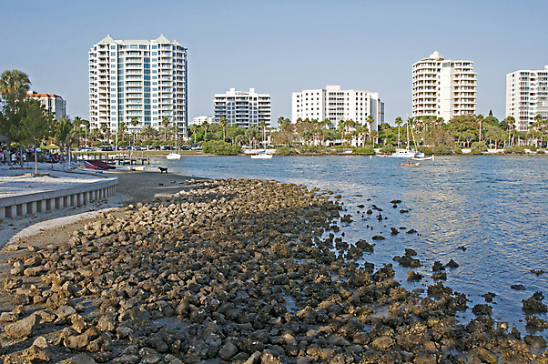 포토 JPG 해외이미지 바다 잎 북아메리카 요트 건축양식 교통시설 자연 하늘 항해 사람없음 야외 건물 물 파란색 도시풍경 야자수 환경 항구 맑음 미국 흰색 도시 만 보트 도심 암초 나루 많음 플로리다 해외202004 해외포토 자연요소 나무 식물 건축물 건축 컬러 교통 컨셉 배_교통 날씨 아메리카 풍경 시설 생태계 파일형식 이미지허브