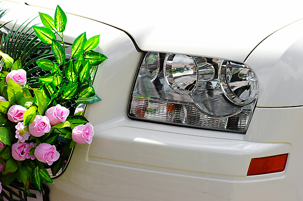 포토 JPG 해외이미지 커플 꽃 리본 분홍색 꽃다발 결혼 꽃무늬 전구 자동차 탁자 결혼식 화살 기념 사람없음 장식 빛 장난감 장미 터치 흰색 클래식 고급 은색 책상 만족 심플 설정 접수 해외202004 해외포토 레이스천 식물 감정 육상교통 컬러 가구 컨셉 무늬 관계 이벤트 직물 파일형식 이미지허브