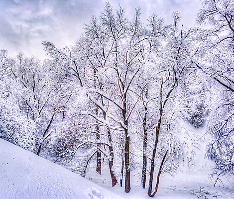 포토 JPG 해외이미지 나무 디자인 계절 공원 여행 백그라운드 크리스마스 겨울 자연 벽지 동화 날씨 휴가 새로움 파노라마 풍경 사람없음 야외 목재 냉동 얼음 검은색 추위 수확 덮개 백발 흰색 숲 서리 장면 러시아인 삼림지대 제설기 폭설 눈내림 해외202004 해외포토 자연요소 서양인 식물 헤어스타일 공공시설 기념일 컬러 컨셉 농업 재료 눈_날씨 촬영기법 뚜껑 자연재해 생태계 제설 파일형식 이미지허브