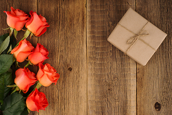 포토 JPG 해외이미지 식물 디자인 꽃잎 꽃 백그라운드 꽃무늬 자연 탁자 휴가 발렌타인데이 선물 사람없음 빨간색 여름 장미 봄 수확 벚꽃 시골 신선 신용카드 화려 닫기 배열 심볼 묘사 내추럴 옛날 스타일 해외202004 해외포토 계절 컬러 가구 컨셉 무늬 농업 모션 데이이벤트 금융 생태계 파일형식 이미지허브