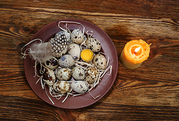 포토 JPG 해외이미지 접시 디자인 음식 백그라운드 패턴 다이어트 재료 자연 조류 건강 사람없음 목재 갈색 계란 봄 수확 흰색 시골 신선 아침식사 상품 작음 유기농 질감 날것 내추럴 메추리 해외202004 해외포토 나무 동물 식기 웰빙 계절 컬러 무늬 농업 알 식사 크기 생태계 파일형식 이미지허브
