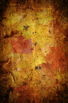 포토 JPG 해외이미지 식물 종이 벽 백그라운드 단풍 잎 꽃무늬 자연 표면 추상 프레임 건조 사람없음 장식 초록색 갈색 노란색 공백 수확 골동품 가을 얼룩 오브젝트 유기농 질감 심플 캔버스 먼지 페이지 스크래치 10월 그런지 세피아 양피지 엘리먼트 옛날 원고 노화 해외202004 해외포토 웰빙 계절 꽃 컬러 컨셉 무늬 농업 촬영기법 날짜 생태계 파일형식 이미지허브