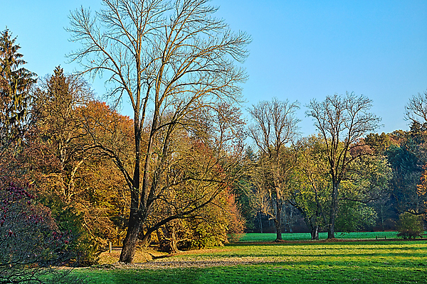 포토 JPG 해외이미지 나무 계절 공원 길 여행 백그라운드 잎 자연 아침 그림자 풍경 사람없음 초록색 여름 빛 햇빛 태양 평화 일출 환경 맑음 일몰 봄 새벽 하이킹 안개 광선 가을 나뭇가지 시골 황무지 숲 장면 공상 내추럴 해외202004 해외포토 주간 자연요소 식물 공공시설 컬러 컨셉 레저 날씨 노을 생태계 파일형식 이미지허브