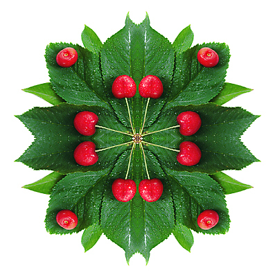 포토 JPG 해외이미지 식물 열매 음식 백그라운드 잎 과일 자연 디저트 건강 사람없음 빨간색 초록색 흰색 신선 체리 그룹 달콤 자르기 오브젝트 질감 내추럴 고립 숙성 완벽 해외202004 해외포토 컬러 컨셉 모션 맛 생태계 파일형식 이미지허브