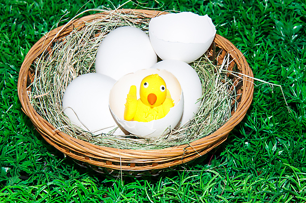 포토 JPG 해외이미지 전통 디자인 계절 꽃 종교 음식 백그라운드 밭 자연 휴가 부활절 선물 사람없음 장식 초록색 컬러풀 바구니 계란 봄 축하 그리기 4월 심볼 해외202004 해외포토 식물 기념일 컬러 컨셉 농업 모션 알 날짜 생태계 파일형식 이미지허브