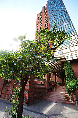 포토 JPG 해외이미지 식물 계절 음식 벽 백그라운드 농업 다이어트 오렌지 과일 자연 벽돌 디저트 귤 건강 사람없음 건물 초록색 주스 신선 도시 시장 닫기 달콤 맛 아침식사 지중해 유기농 내추럴 구성 숙성 해외202004 해외포토 건축물 웰빙 산업 음료 바다 컬러 컨셉 모션 식사 생태계 파일형식 이미지허브