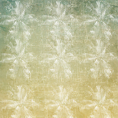 포토 JPG 해외이미지 나무 디자인 종이 백그라운드 패턴 추상 미술 사람없음 장식 공백 손상 수확 골동품 시골 거친 주름 떨어짐 묘사 고민 질감 복고 먼지 페이지 코코넛 스크래치 찢어짐 나쁜 구김 구식 그런지 양피지 엘리먼트 옛날 핸드메이드 스타일 해외202004 해외포토 식물 감정 컨셉 무늬 농업 과일 모션 문화예술 파일형식 이미지허브