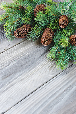 포토 JPG 해외이미지 계절 백그라운드 컨셉 크리스마스 겨울 휴가 새해 프레임 사람없음 장식 세로 초록색 공백 축하 12월 내추럴 구성 옛날 카피스페이스 해외202004 해외포토 기념일 컬러 날짜 파일형식 이미지허브