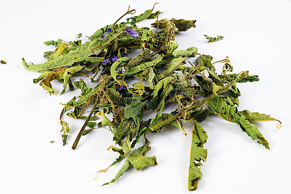 포토 JPG 해외이미지 식물 꽃잎 꽃 분홍색 백그라운드 꽃무늬 오렌지 자연 건조 건강 사람없음 야외 초록색 건강관리 정원 보라색 센터 닫기 정상 허브 묘사 유기농 원예 꽃가루 동쪽 고슴도치 보충 면역력 영원 치유 해외202004 해외포토 웰빙 컬러 무늬 과일 포유류 모션 관리 취미 가루 방향 생태계 파일형식 이미지허브