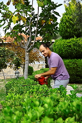포토 JPG 해외이미지 나무 자연 한명 사람 야외 초록색 울타리 성장 도구 작업 원예 손질 다듬기 업그레이드 원예사 해외202004 해외포토 식물 직업 1 컬러 모션 취미 담장 생태계 파일형식 이미지허브