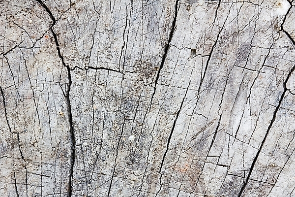 포토 JPG 해외이미지 백그라운드 건축양식 자연 벽지 표면 추상 산 사람없음 장식 힘 흙 골동품 조약돌 바위 거친 균열 부식 유기농 질감 대리석 안심 고생물 고고학 고체 땅바닥 울퉁불퉁 지질학 화강암 흉터 해외202004 해외포토 웰빙 교육 건축 무늬 재료 모션 생물 바닥 육류 암석 돌_바위 상처 생태계 파일형식 이미지허브