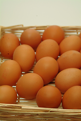 포토 JPG 해외이미지 동물 디자인 음식 백그라운드 자연 부활절 건강 선물 사람없음 장식 빛 농장 노란색 주방 계란 봄 껍질 신선 닫기 맛 아침식사 먹기 심볼 만족 만들기 노른자 해외202004 해외포토 계절 기념일 감정 컬러 컨셉 농업 모션 알 식사 생태계 파일형식 이미지허브