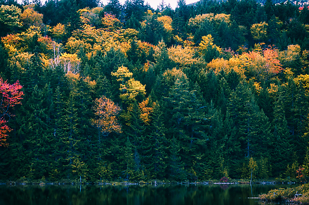 포토 JPG 해외이미지 호수 여행 잎 자연 날씨 휴가 산 풍경 사람없음 야외 컬러풀 환경 미국 하이킹 가을 클래식 숲 멀리 10월 보호구역 생태학 해외202004 해외포토 식물 계절 교육 컬러 컨셉 북아메리카 레저 날짜 생태계 구역 파일형식 이미지허브