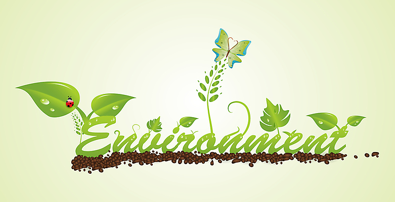 포토 JPG 해외이미지 식물 디자인 꽃 나비 백그라운드 컨셉 잎 꽃무늬 텍스트 자연 벽지 추상 사람없음 장식 초록색 환경 활발 성장 신선 떨어짐 에코 유기농 생태계 무당벌레 암초 내추럴 생태학 해외202004 해외포토 웰빙 교육 컬러 곤충 무늬 파일형식 이미지허브