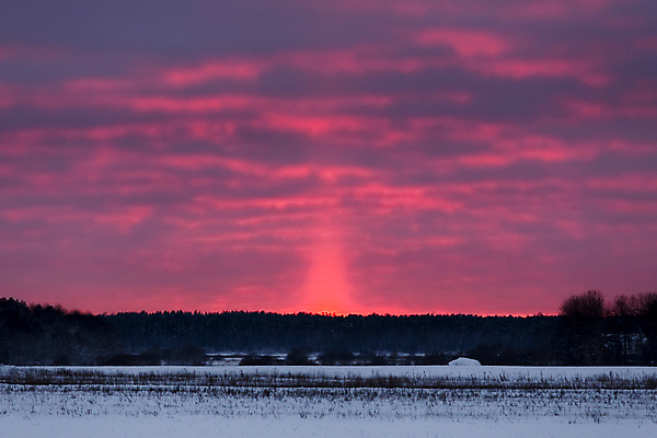 포토 JPG 해외이미지 나무 계절 실루엣 겨울 밭 자연 하늘 날씨 핀란드 풍경 사람없음 야외 냉동 얼음 황혼 일몰 새벽 추위 슬픔 흰색 시골 고독 저녁 숲 가루 버리기 서리 장면 부드러움 북쪽 깊이 선로 우울감 자취 수평선 해외202004 해외포토 자연요소 식물 감정 컬러 농업 모션 촬영기법 북유럽 노을 감각 야간 방향 생태계 파일형식 이미지허브