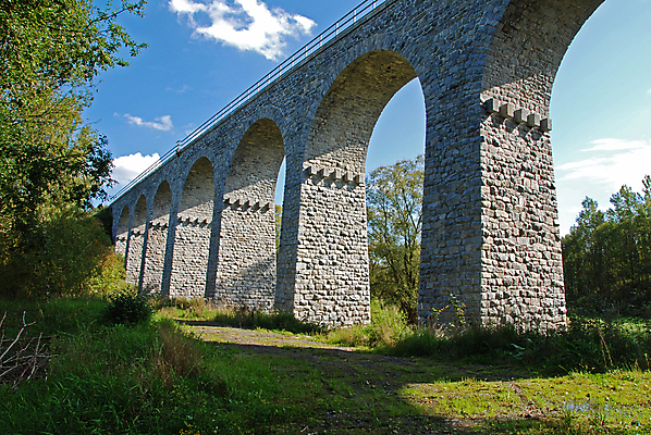 포토 JPG 해외이미지 여행 잎 풍경 사람없음 세로 쌓기 계곡 기차 바위 기둥 역사 숲 활 아치 철사 체코 구름다리 로마인 해외202004 해외포토 식물 건축 유럽 육상교통 모션 대중교통 인종 돌_바위 다리_건축물 파일형식 이미지허브