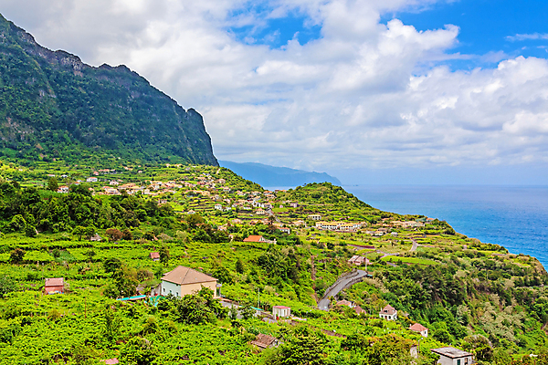포토 JPG 해외이미지 나무 섬 여행 자연 하늘 산 주택 풍경 사람없음 초록색 파란색 마을 와인 시골 언덕 북쪽 타운 계단식 대서양 해외202004 해외포토 식물 바다 컬러 주류 건물 도시 방향 생태계 파일형식 이미지허브