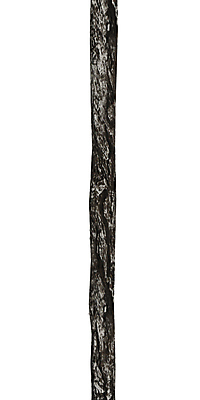 포토 JPG 해외이미지 나무 식물 백그라운드 일러스트 자연 사람없음 목재 그래픽 갈색 3D 흰색 소나무 막대기 자르기 만들기 나무껍질 내추럴 고립 엘리먼트 해외202004 해외포토 컬러 재료 모션 껍질 디지털합성 생태계 파일형식 이미지허브