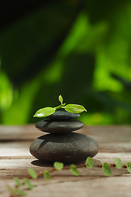 포토 JPG 해외이미지 선 잎 불교 자연 추상 건강 사람없음 치료 쌓기 평화 탑 스파 화목 침묵 기쁨 에너지 조약돌 바위 명상 냄새 아로마 내추럴 고체 줄서기 화강암 해외202004 해외포토 식물 건축물 감정 종교 컨셉 무늬 의학 모션 소리 암석 돌_바위 생태계 파일형식 이미지허브