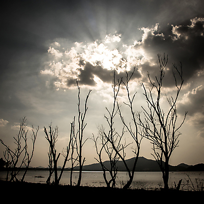 포토 JPG 해외이미지 나무 구름 공원 호수 바다 섬 여행 백그라운드 태국 자연 하늘 날씨 추상 휴식 산 미술 풍경 사람없음 야외 여름 빛 컬러풀 태양 우주 신선 뜨거움 숲 만족 옛날 해외202004 해외포토 자연요소 식물 계절 공공시설 감정 아시아 컬러 컨셉 무늬 문화예술 생태계 파일형식 이미지허브