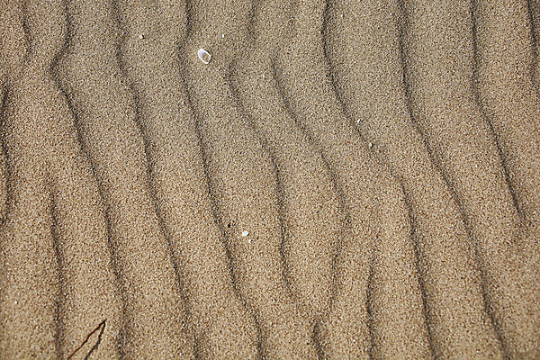 포토 JPG 해외이미지 디자인 모래 파도 바다 여행 백그라운드 컨셉 패턴 자연 벽지 하늘 표면 추상 휴가 건조 풍경 사람없음 야외 물 여름 파란색 모래사장 태양 갈색 노란색 사막 바위 흰색 거친 모래언덕 묘사 질감 내추럴 옛날 해외202004 해외포토 자연요소 계절 컬러 무늬 돌_바위 언덕 생태계 파일형식 이미지허브