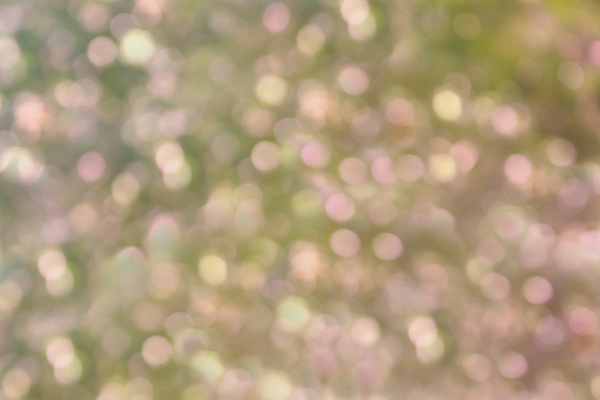 포토 JPG 해외이미지 사람없음 소프트포커스 보케 빛망울 블러 블러효과 보케백그라운드 해외202004 해외포토 백그라운드 촬영기법 빛 파일형식 효과 이미지허브