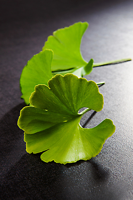 포토 JPG 해외이미지 스튜디오촬영 식물 디자인 계절 줄기 백그라운드 잎 농업 자연 건강 사람없음 야외 장식 가로 초록색 여름 약 농장 환경 정원 봄 활발 성장 약재 닫기 강의 허브 유기농 질감 층 강렬 고립 생태학 해외202004 해외포토 웰빙 교육 산업 컬러 컨셉 의학 모션 실내 생태계 파일형식 이미지허브