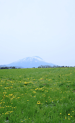 포토 JPG 해외이미지 구름 계절 밭 자연 하늘 산 사람없음 야외 초록색 파란색 컬러풀 햇빛 태양 우주 신선 해외202004 해외포토 자연요소 컬러 농업 생태계 파일형식 이미지허브