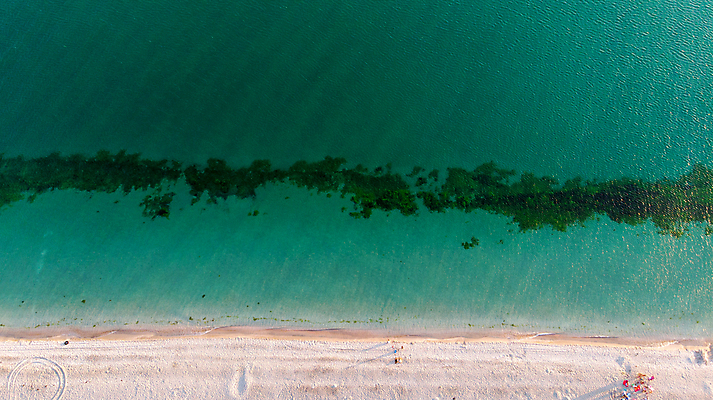 포토 JPG 해외이미지 모래 파도 바다 여행 백그라운드 패턴 자연 휴가 항해 안테나 사람 풍경 사람없음 야외 초록색 물 여름 파란색 모래사장 걷기 맑음 거품 흰색 서핑 산호 질감 머리위 격파 드론 터키석 스플래쉬 내려보기 해외202004 해외포토 자연요소 계절 컬러 무늬 배_교통 통신 모션 날씨 수상스포츠 자포동물 보석 생태계 파일형식 이미지허브