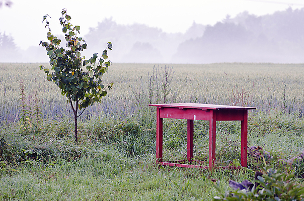 포토 JPG 해외이미지 나무 계절 가구 밭 자연 탁자 아침 풍경 사람없음 야외 목재 빨간색 여름 농경지 일출 정원 새벽 안개 시골 오브젝트 뿌연 해외202004 해외포토 주간 자연요소 식물 컬러 생활용품 농업 재료 날씨 농장 노을 생태계 파일형식 이미지허브