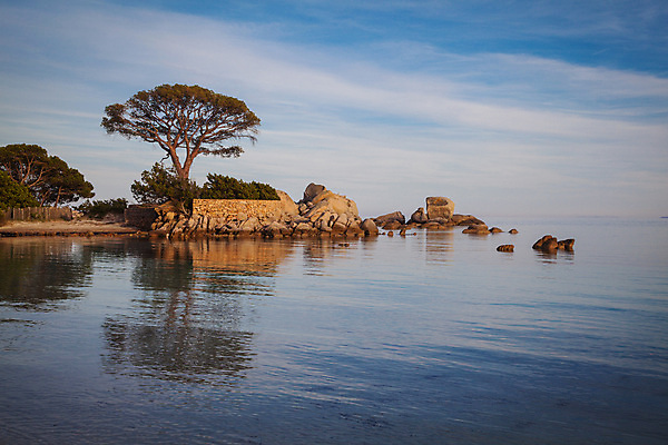 포토 JPG 해외이미지 나무 모래 파도 바다 섬 여행 자연 하늘 휴가 휴식 파노라마 풍경 사람없음 물 여름 파란색 맑음 프랑스 만 지중해 남쪽 내추럴 코르시카 터키석 해외202004 해외포토 자연요소 식물 계절 유럽 컬러 컨셉 날씨 촬영기법 보석 방향 생태계 파일형식 이미지허브