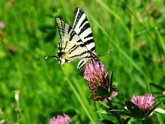 포토 JPG 해외이미지 사람없음 해외202004 해외포토 파일형식 이미지허브