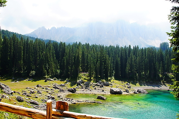 포토 JPG 해외이미지 응시 사람없음 먼지떨이 해외202004 해외포토 시선 청소도구 파일형식 이미지허브